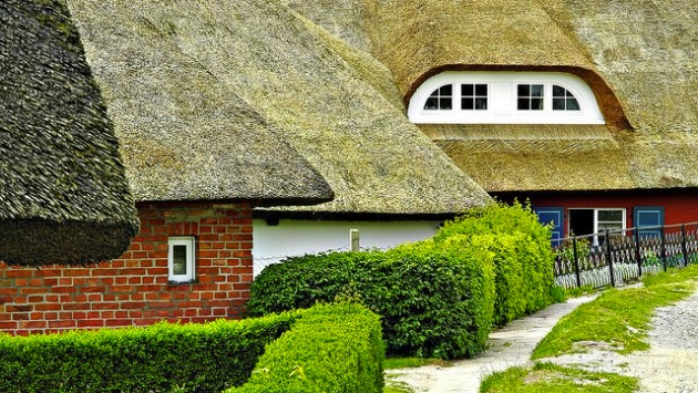 Thatched-roof-article